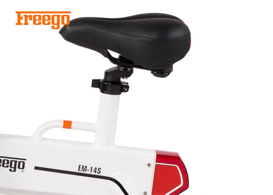 Peso leggero d'avanguardia che piega le biciclette elettriche/bici elettrica pieghevole delle signore