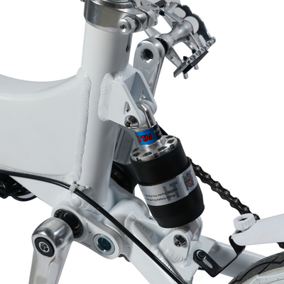 la bici elettrica pieghevole della grande gomma a 14 pollici di 240W 36V per le signore ha personalizzato il colore
