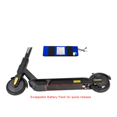 Approvazione portatile del FCC del CE di Ion Battery For Electric Scooter del litio 13v 18650