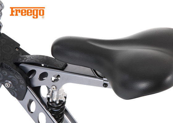 la bici elettrica pieghevole leggera 250W/fila via il tempo di carico della bici 3-4h di E
