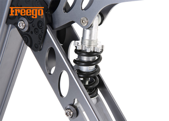 la bici elettrica pieghevole leggera 250W/fila via il tempo di carico della bici 3-4h di E