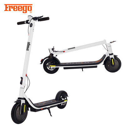 Unisca in lega i motorini di motore pieganti materiali per gli adulti, stia il motore su motorizzato della parte anteriore dei motorini 350W